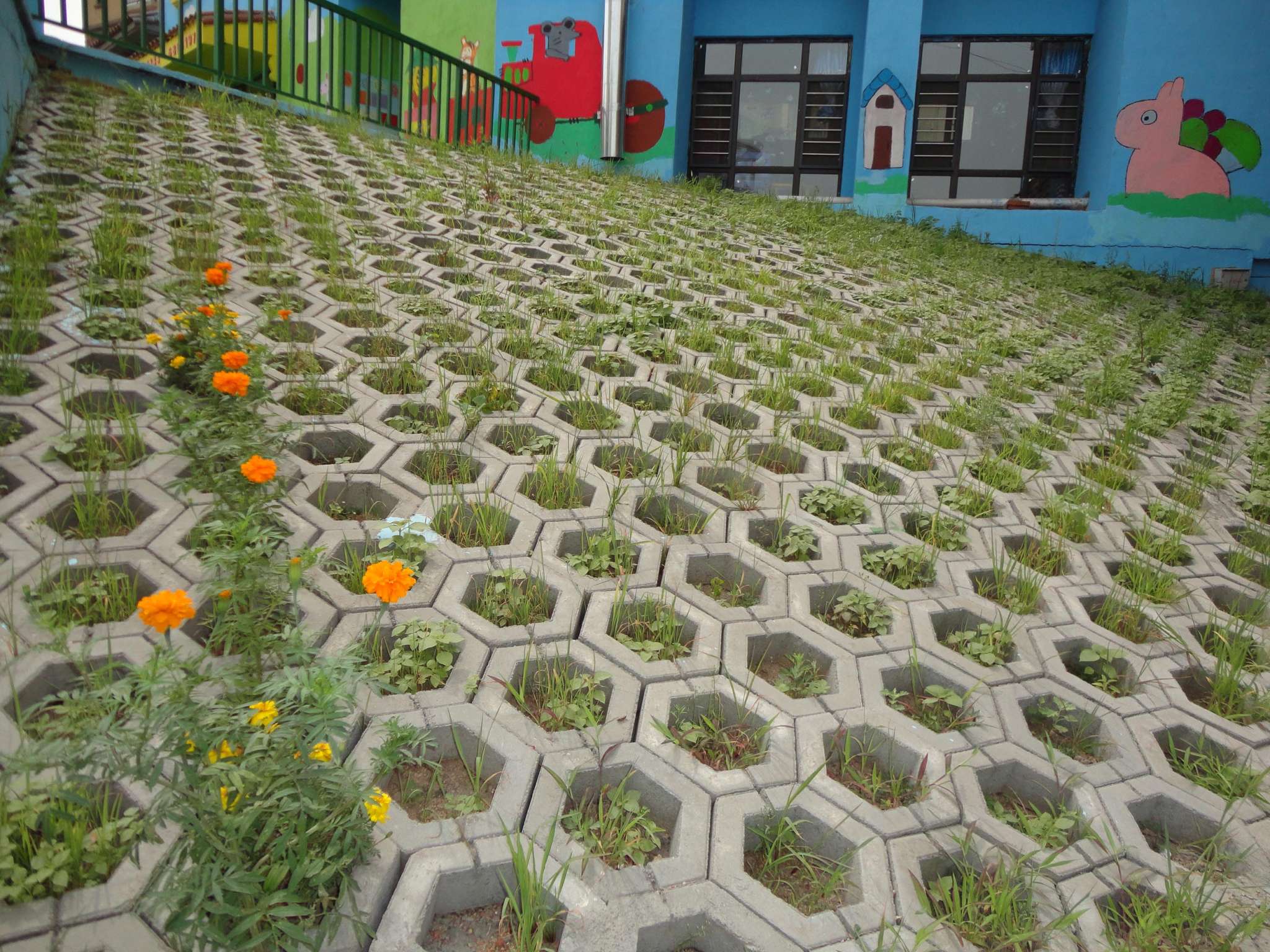 ��߅���o(h��)�´u