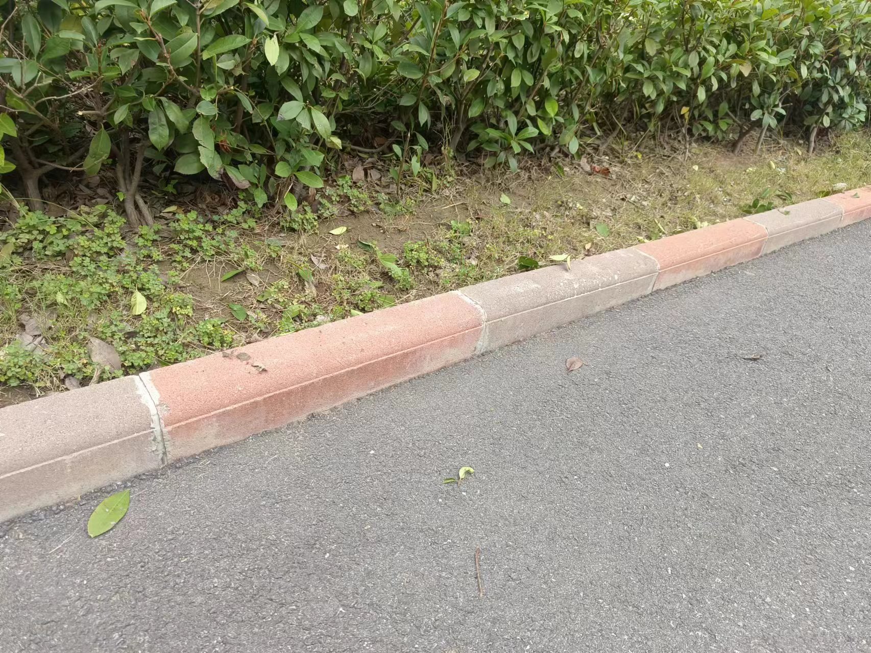 ��ɫ·��ʯ����